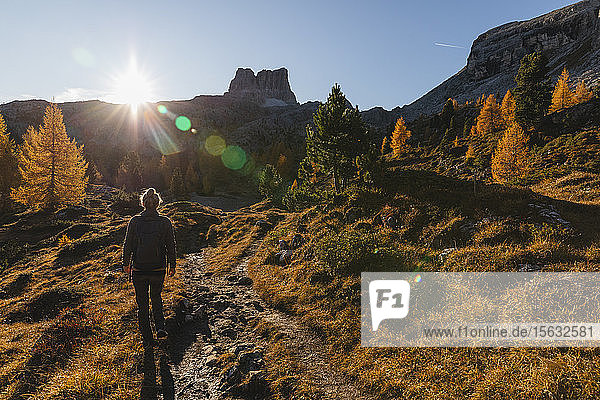 Rückansicht einer Wanderin in den Dolomiten  Cortina  Italien