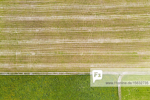 Aerial view of agricultural field  Beuerberg  Germany