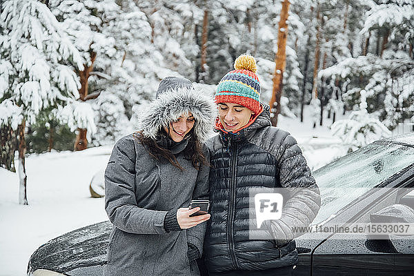 Smiling young couple leaning at parked car in winter forest looking at cell phone