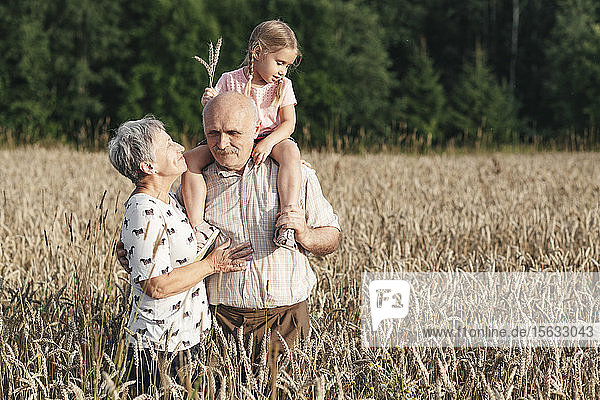 Family portrait of grandparents with their granddaughter in an oat field