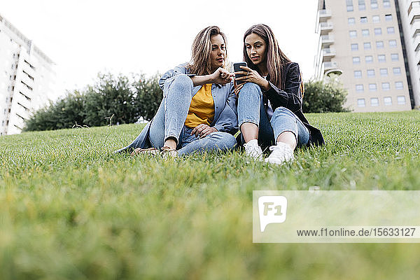 Zwei Freunde schauen auf das Smartphone und sitzen auf einer Wiese in einem Park