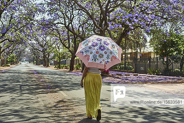Frau geht mit ihrem Regenschirm mitten auf einer Straße voller blühender Jacaranda-Bäume  Pretoria  Südafrika