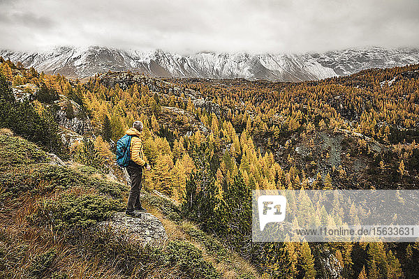 Wanderer steht und blickt im Herbst über das Alpenplateau Sondrio Italien