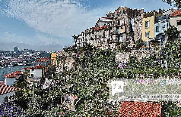 Portugal  Porto  Ribeira  Bunte Stadthäuser auf einem Hügel im Sommer gesehen