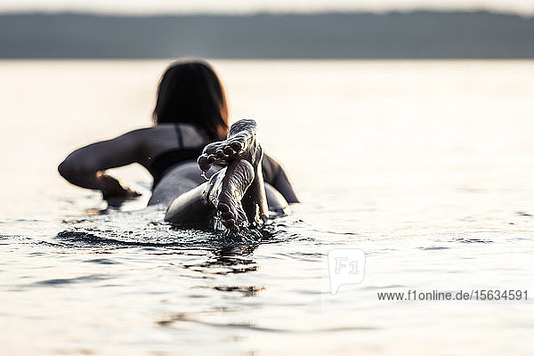 Rückenansicht einer jungen Frau  die bei Sonnenuntergang auf einem Surfbrett liegt  Starnberger See  Deutschland