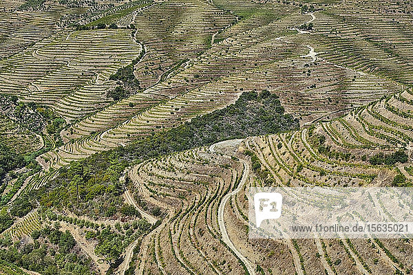 Portugal  Douro  Dourotal  Weinregion von oben gesehenÂ
