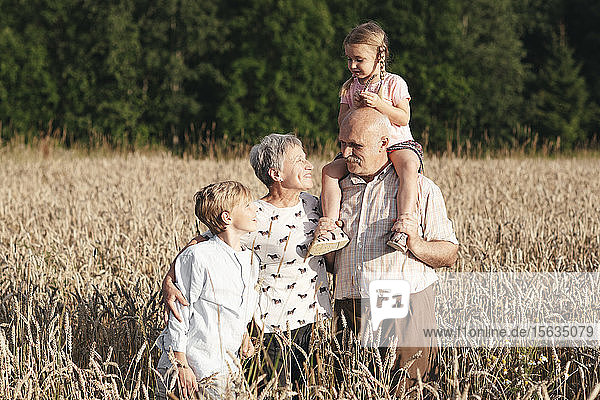 Familienporträt der Großeltern mit ihren Enkelkindern in einem Haferfeld