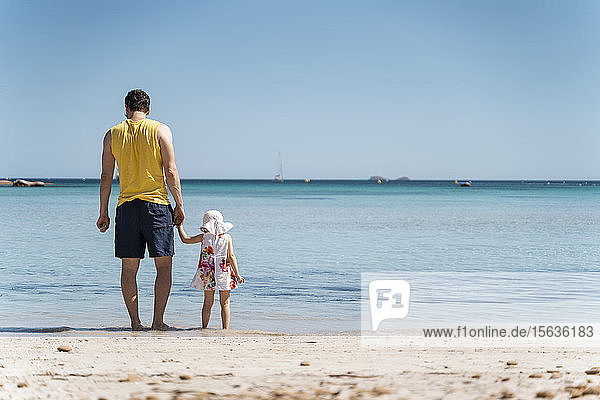 Rear view of father with daughter standing on the beach