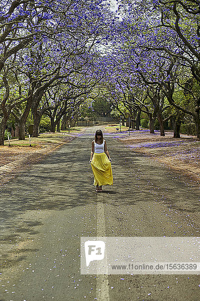 Frau geht in der Mitte einer Straße voller blühender Jacaranda-Bäume  Pretoria  Südafrika