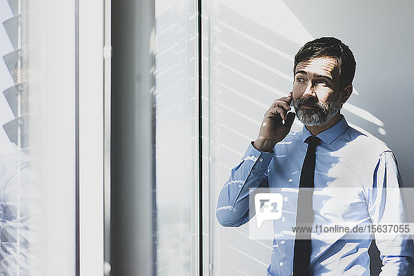 Mature businessman on the phone in office