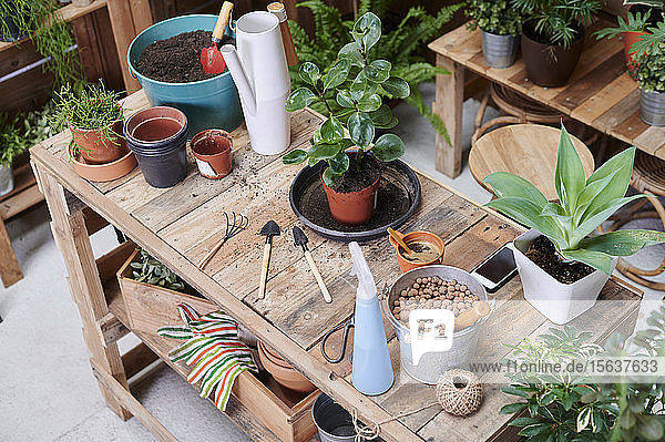 Holztisch mit Topfpflanzen und Gartengeräten auf einer Terrasse