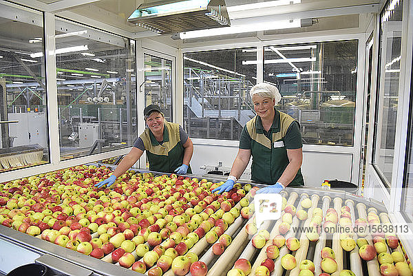Arbeiterinnen kontrollieren Äpfel auf Förderband in Apfelsaftfabrik