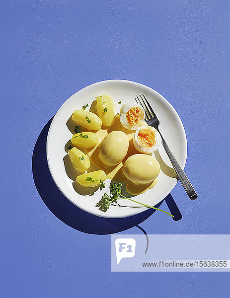 Direkt über der Aufnahme der Mahlzeit im Teller mit Gabel auf blauem Hintergrund