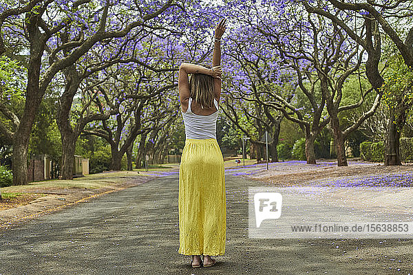 Frau in der Mitte einer Straße voller blühender Jacarandabäume  Pretoria  Südafrika