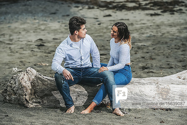 Porträt eines jungen Paares  das auf einem Baumstamm am Strand sitzt; Wellington  Nordinsel  Neuseeland