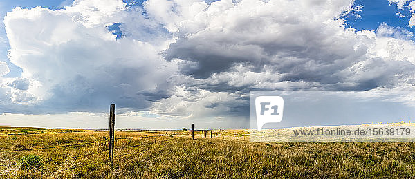 Weite Ackerflächen in der Prärie unter einem weiten Himmel mit Wolken und einem Sturm in der Ferne; Val Marie  Saskatchewan  Kanada