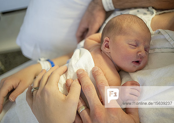 Newborn baby sleeping on mother's chest in a hospital bed with mother and father's hands visible; Vancouver  British Columbia  Canada