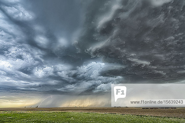 Dramatische Gewitterwolken während eines Gewitters in der Prärie; Val Marie  Saskatchewan  Kanada