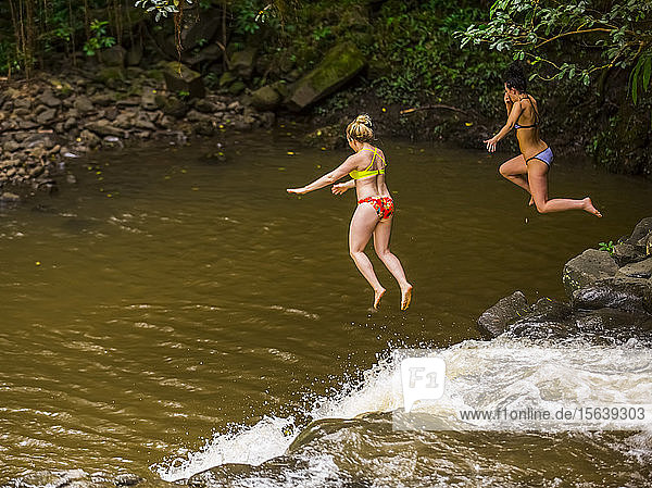 Two women wearing bikinis cliff jumping from the top of one of the Twin Falls waterfalls; Haiku Maui Hawaii United States of America