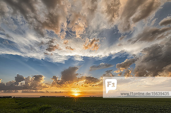 Sonnenuntergang und großer Himmel mit Wolken über Feldern von Ackerland; Saskatchewan  Kanada