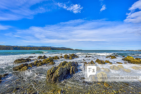 Felsen an der Küste der Südküste der Nordinsel Neuseelands; Wellington  Nordinsel  Neuseeland