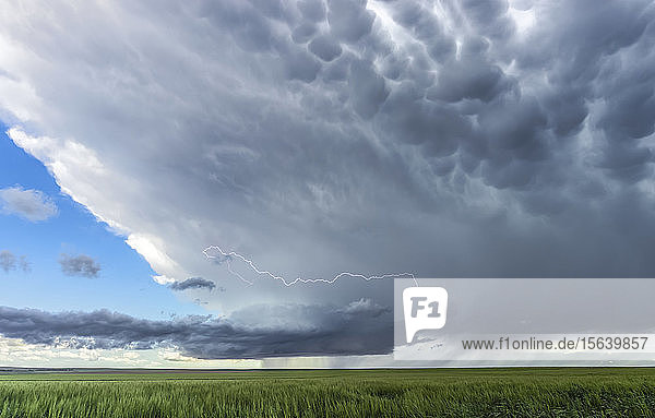 Ein Blitz umkreist den Aufwind einer niederschlagsarmen Superzelle  die über die High Plains driftet; Corado  Vereinigte Staaten von Amerika