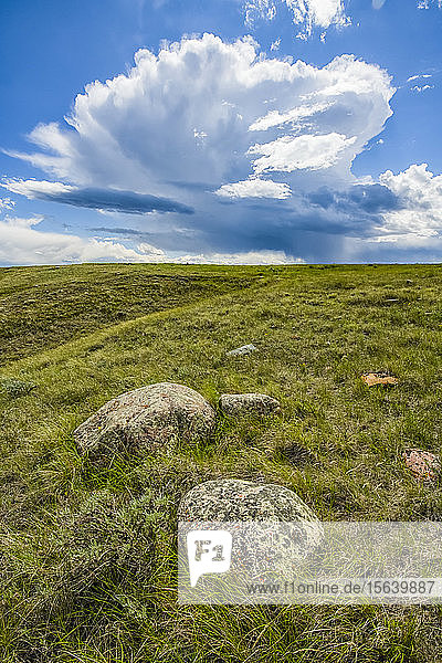 Weite Landschaft  die sich bis zum Horizont erstreckt  im Grasslands National Park; Val Marie  Saskatchewan  Kanada
