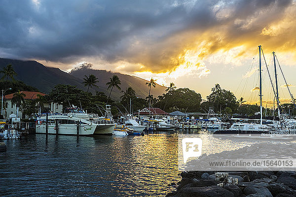 Yachten  Segelboote und Ausflugsboote im Hafen von Lahaina bei Sonnenuntergang mit vulkanischen Inselgipfeln in der Ferne; Lahaina  Maui  Hawaii  Vereinigte Staaten von Amerika