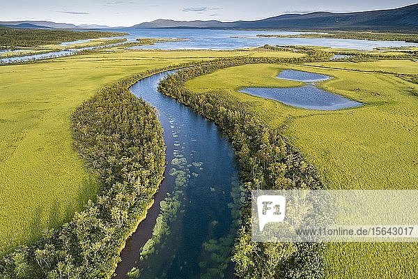 Luftbild  Drohnenaufnahme  mäandernde Flusslandschaft des Rapa-Tals bei Nikkaluokta  Sarek-Nationalpark  Norrbottens län  Schweden  Europa