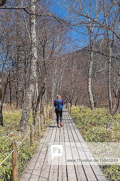 Frau auf Wanderweg durch Bambus  Senjogahara-Sumpfgebiet  Nikk? National Park  Nikk?  Präfektur Tochigi  Japan  Asien