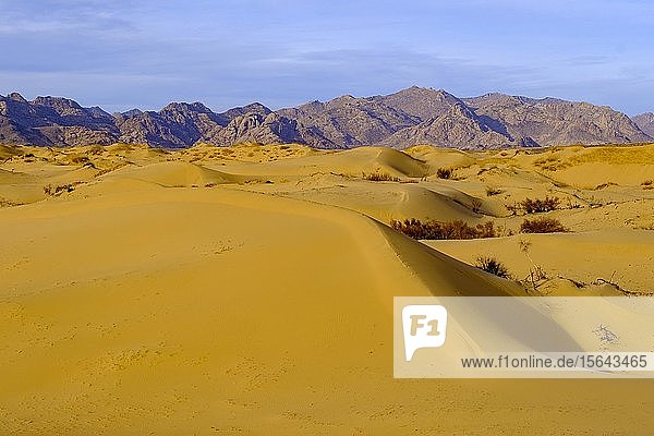 Sanddünen von Elsen Tasarkhai Bulgan Aimag Bulgan Provinz Mongolei Asien