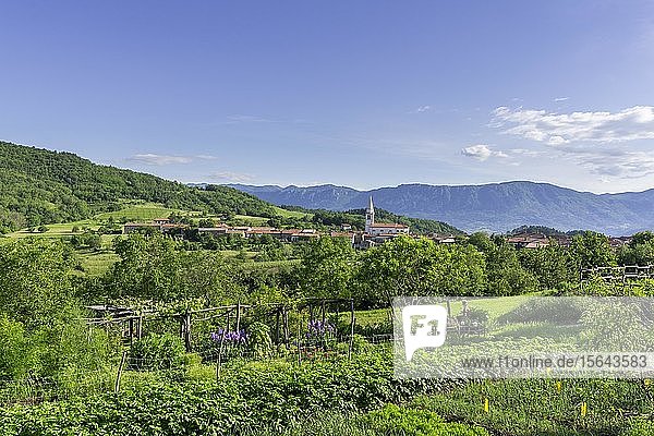 Blick auf das Dorf Goce  Slowenien  Europa
