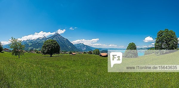 Panorama mit Blick auf den Niesen und den Thunersee  Aeschi bei Spiez  Berner Oberland  Schweiz  Europa