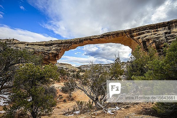 Felsbogen  Owachomo-Brücke  Natural Bridges National Monument  Utah  USA  Nordamerika