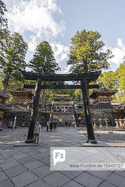 Torii-Tor am T?sh?-g? Schrein aus dem 17. Jahrhundert  Shint? Schrein  Schreine und Tempel von Nikko  UNESCO-Weltkulturerbe  Nikko  Japan  Asien