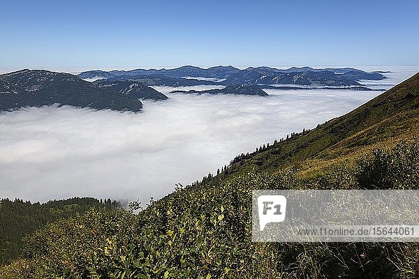 Blick vom Fellhorn auf Nebel im Kleinwalsertal  hinter den Allgäuer Bergen bei Oberstdorf  Oberallgäu  Allgäu  Bayern  Deutschland  Europa