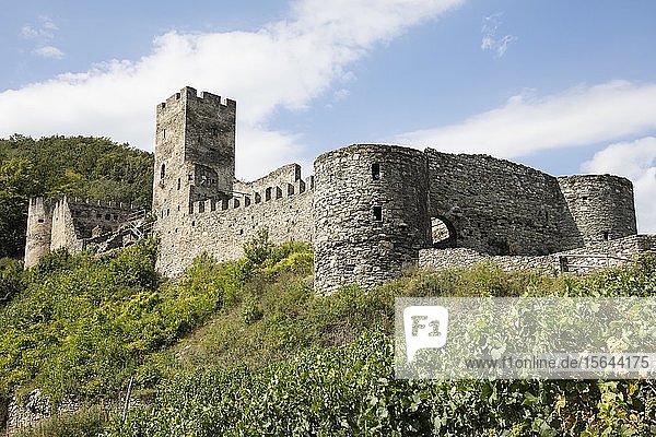 Burgruine Hinterhaus Spitz an der Donau Wachau Waldviertel Niederösterreich Österreich Europa