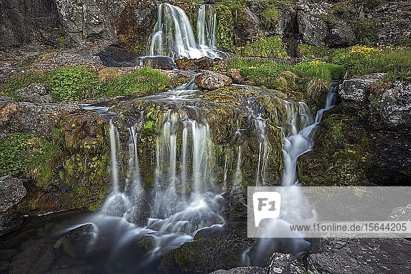 Fluss Dynjandisá am Wasserfall Dynjandifoss  Langzeitbelichtung  Westfjorde  Island  Europa