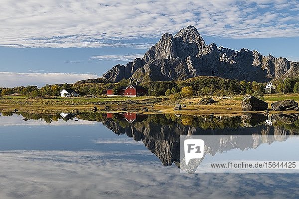 Herbstliche Landschaft  Wasserspiegelung mit Berg  bei Svolvaer  Lofoten  Norwegen  Europa