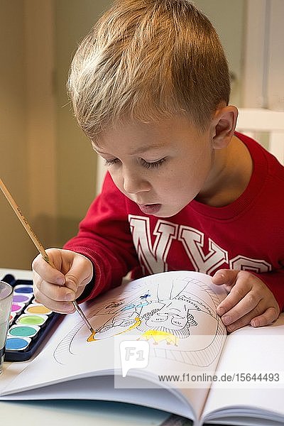Kleiner blonder Junge  sechs Jahre  malt mit Aquarellfarben  Schweden  Europa