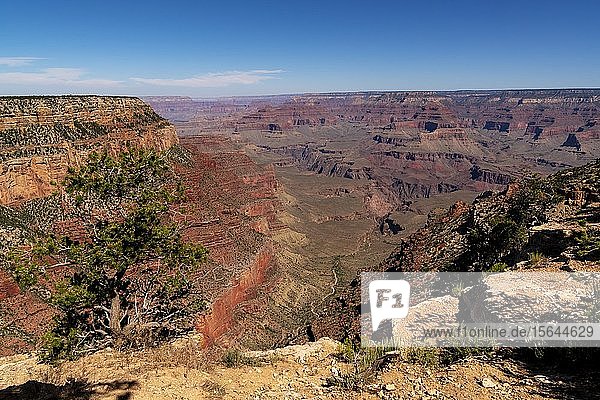 Canyonlandschaft  South Rim  Grand Canyon  Grand Canyon National Park  Arizona  USA  Nordamerika