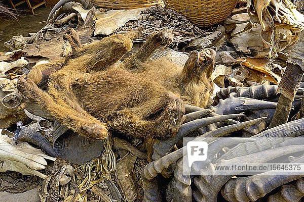 Verkauf von toten Tieren und Tierhörnern  Fetischmarkt  Togo  Afrika