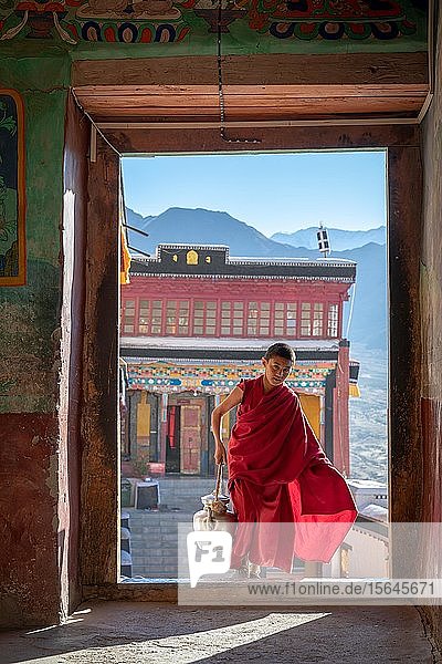 Junger Mönch bringt Buttermilchtee in die Gebetshalle  Kloster Thiksey  Ladakh  Jammu und Kaschmir  Indien  Asien