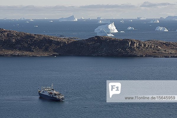 Eisberge am Sydkap  Innerer Scoresby-Sund  Kangertittiyaq  Grönland  Dänemark  Nordamerika