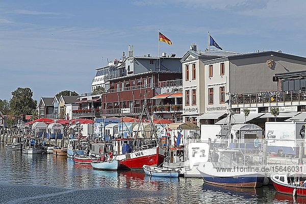 Buildings and boats at Alten Strom  Hanse-Sail  Warnemünde  Rostock  Mecklenburg-Western Pomerania  Germany  Europe