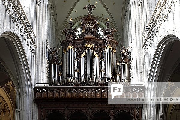 Schyven-Orgel  Orgel in der Liebfrauenkathedrale  Onze-Lieve-Vrouwekathedraal  Altstadt von Antwerpen  Flandern  Belgien  Europa