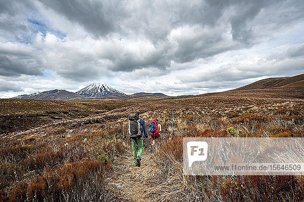 Wanderer auf dem Wanderweg Tongariro Northern Circuit  Great Walk  Vulkan Mount Tongariro und Mount Ngauruhoe  Tongariro National Park  Nordinsel  Neuseeland  Ozeanien