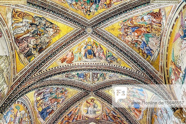 Gewölbefresken von Fra Angelico  1474  und Luca Signorelli  1499-1502  Capella Nuova oder Cappella di San Brizio  Dom Santa Maria Assunta  Orvieto  Umbrien  Italien  Europa