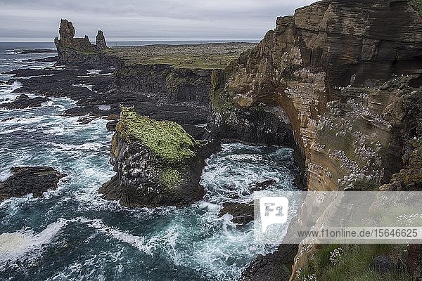 Cliffs of West Iceland  Vesturland  Iceland  Europe