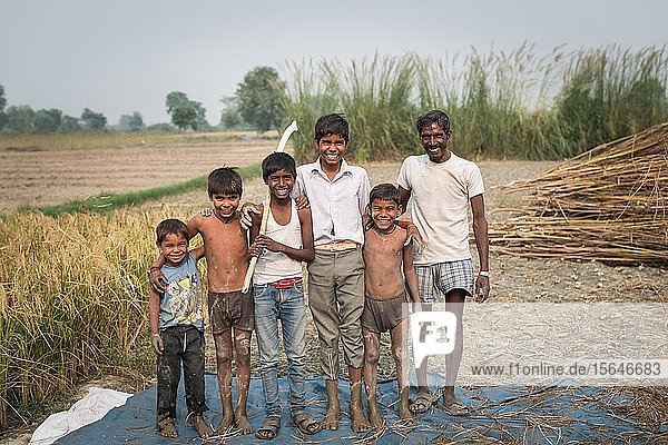 Gruppenbild  einheimische Bauernfamilie bei der Arbeit im Weizenfeld  Rajasthan  Indien  Asien